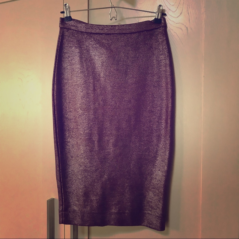 Zara pencil skirt ; Small